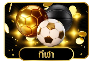ทางเข้าเล่น